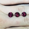 Rhodolite Garnet-6.5mm-Round1